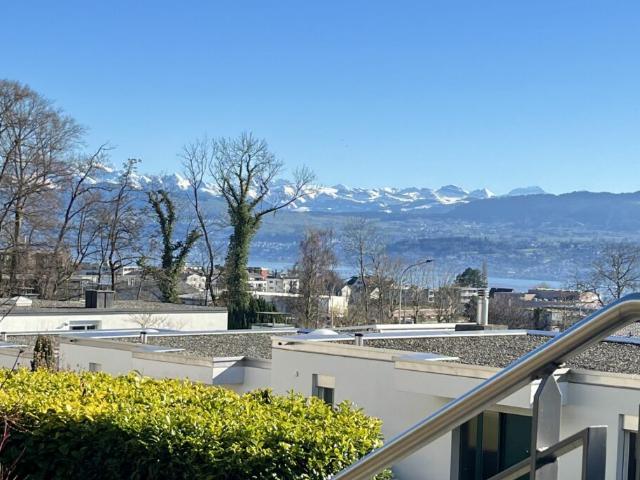Wohnung kaufen in Meilen, Zürich