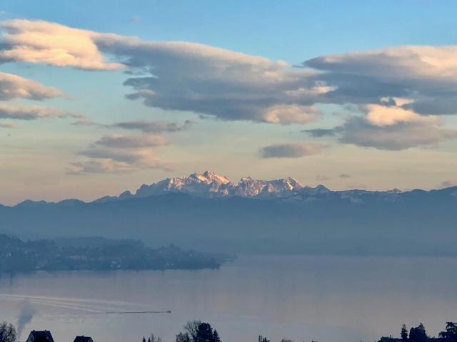 Wohnung mieten in Au, Wädenswil