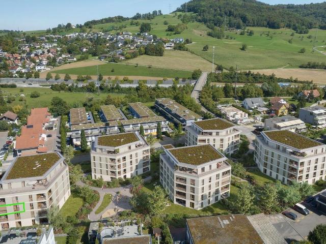 Wohnung mieten in Frick
