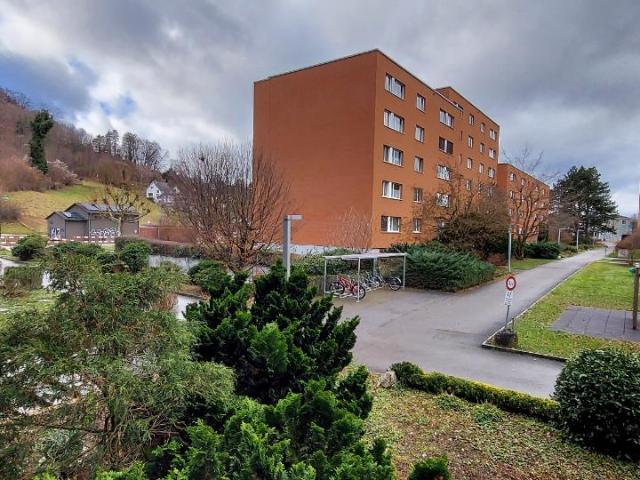 Wohnung kaufen in Muttenz, Bezirk Arlesheim