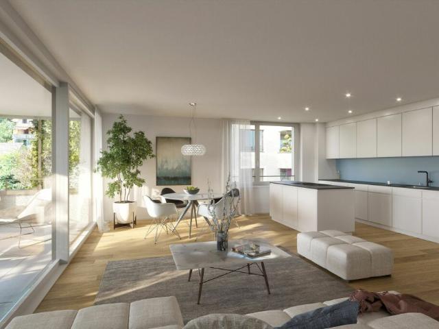 Wohnung kaufen in Brugg (AG), Aargau