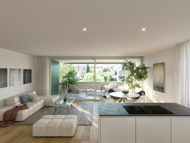 Wohnung kaufen in Brugg (AG), Aargau