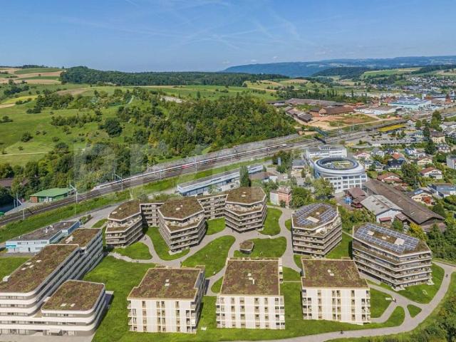 Wohnung mieten in Frick, Aargau