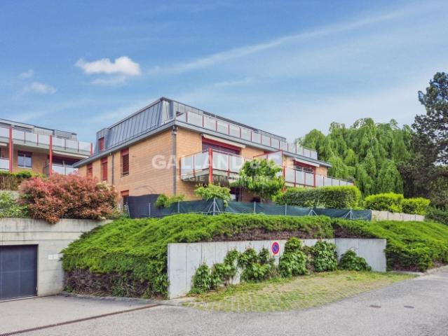 Wohnung mieten in Rolle, Waadt