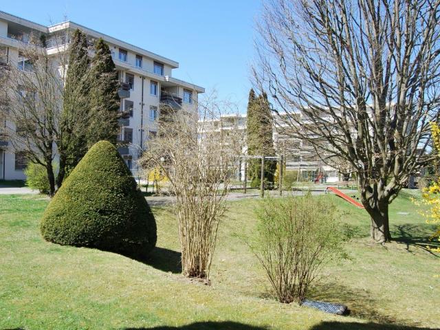 Apartment mieten in Langenthal, Bern