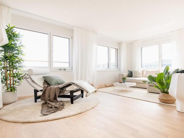 Apartment mieten in Neuhausen, Schaffhausen