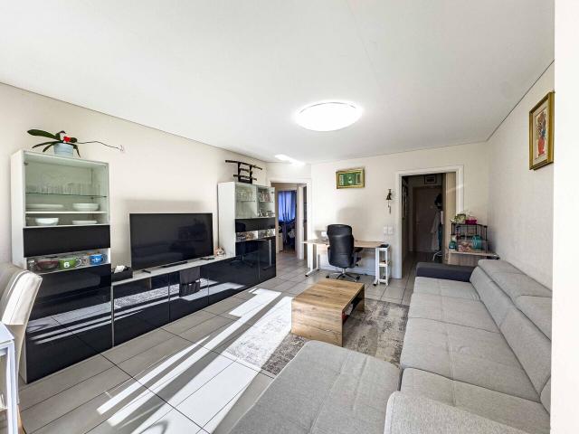 Wohnung kaufen in Monteceneri, Tessin