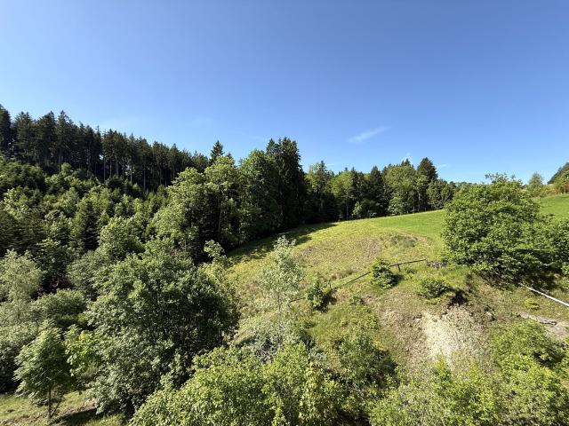 Wohnung kaufen in Grub (AR), Appenzell Ausserrhoden