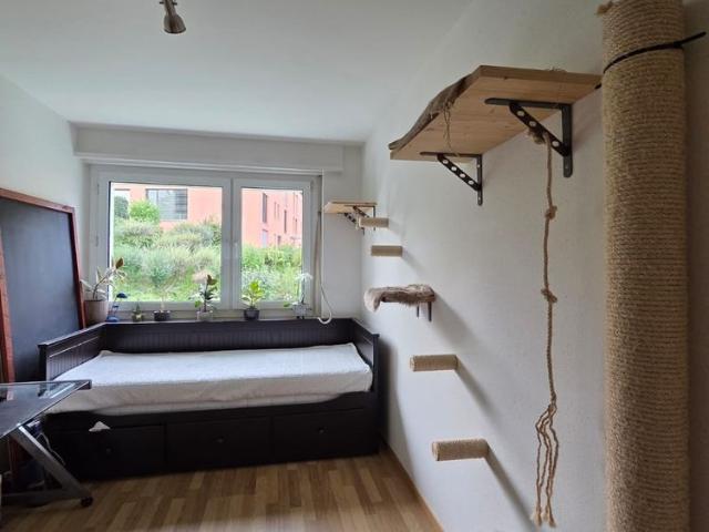 Apartment mieten in Frohberg, Richterswil