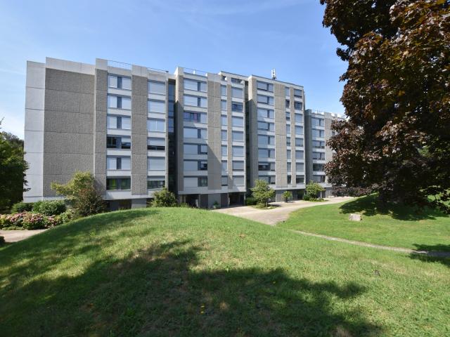 Apartment mieten in Muri bei Bern, Bern