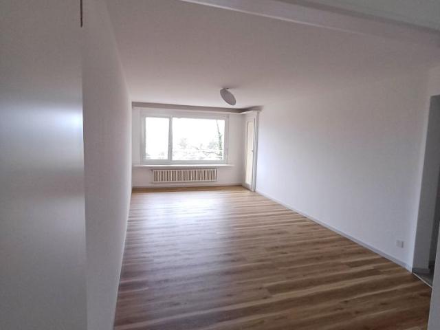 Apartment mieten in Döttingen, Bezirk Zurzach