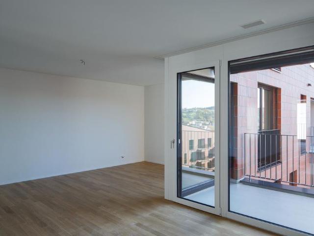 Apartment mieten in Ebikon, Lü