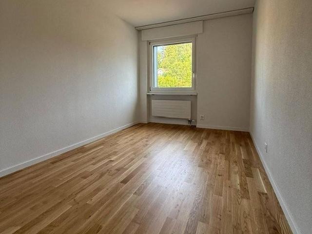 Apartment mieten in Kerzers, Seebezirk / District du Lac