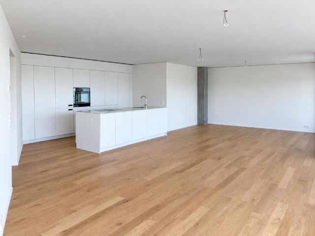 Apartment mieten in Kriens, Lü