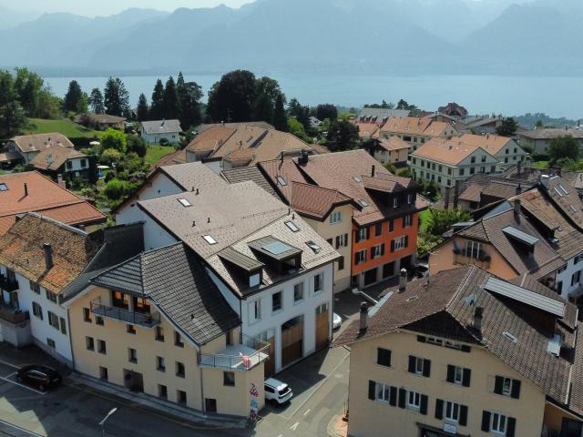 Wohnung kaufen in Blonay, Waadt