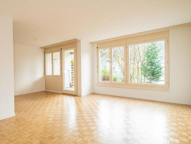 Apartment mieten in Feuerthalen, Zürich