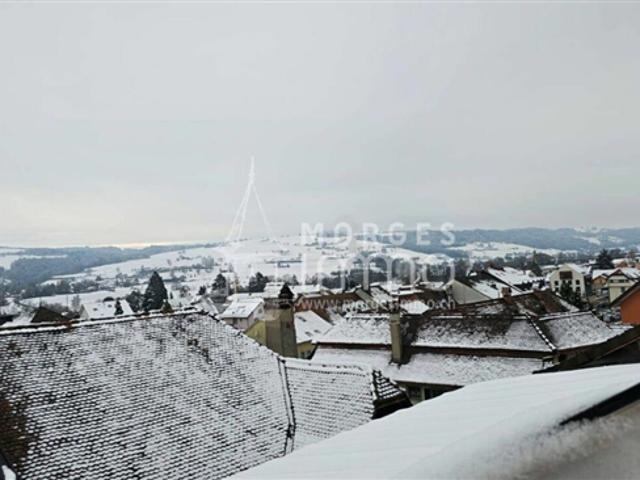 Wohnung kaufen in Chesalles-Moudon, Waadt