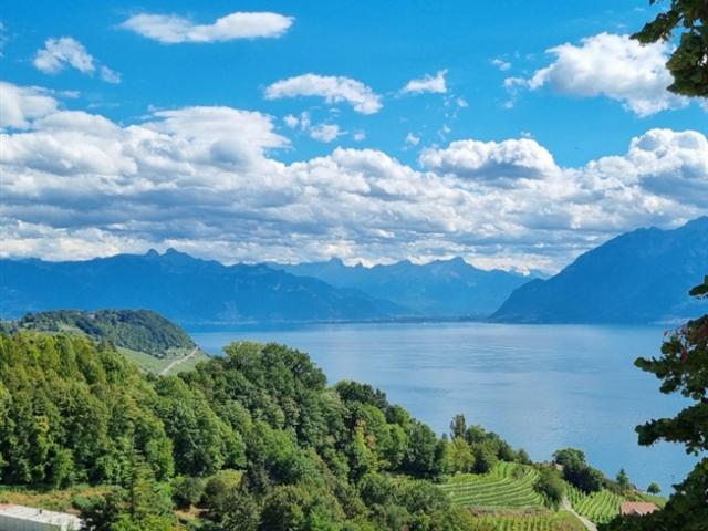 Wohnung kaufen in Bourg-en-Lavaux, Waadt