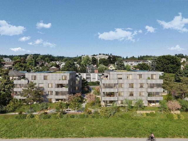 Apartment mieten in Pfäffikon (SZ), Zürich