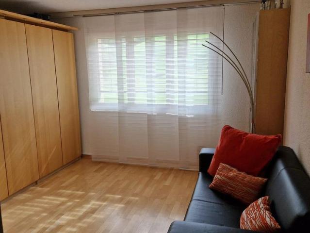 Apartment mieten in Sachseln