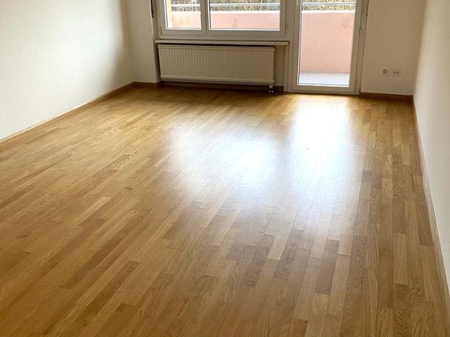 Apartment mieten in Balsthal, Amtei Thal-Gäu