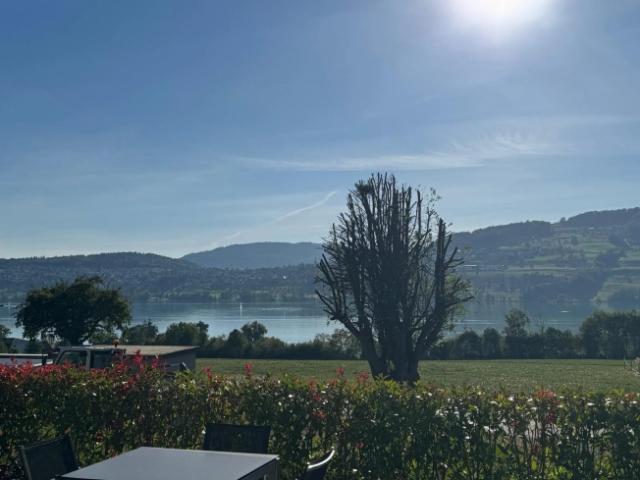 Terrassenwohnung kaufen in Meisterschwanden/Fahrwangen, Meisterschwanden