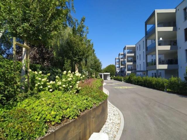 Mehrfamilienhaus kaufen in Egerkingen, Solothurn