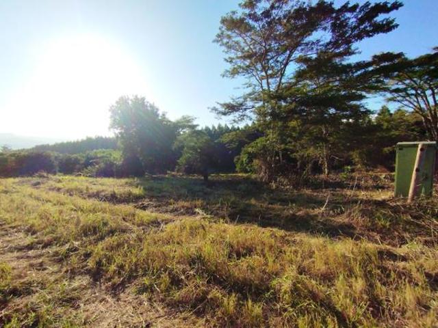 Property for sale in Mopani, Limpopo