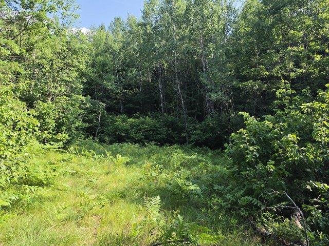 Land for sale in Amberg, Wisconsin