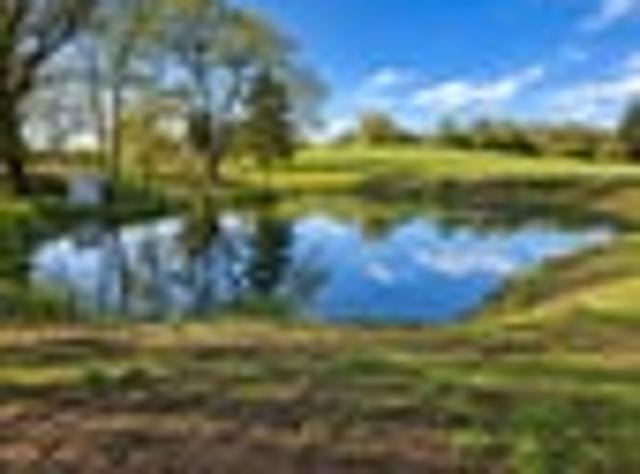 Land for sale in Waikato