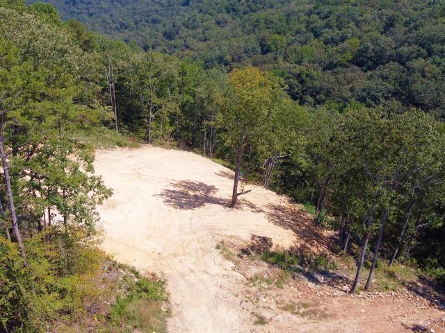 Land for sale in Guntersville, Alabama