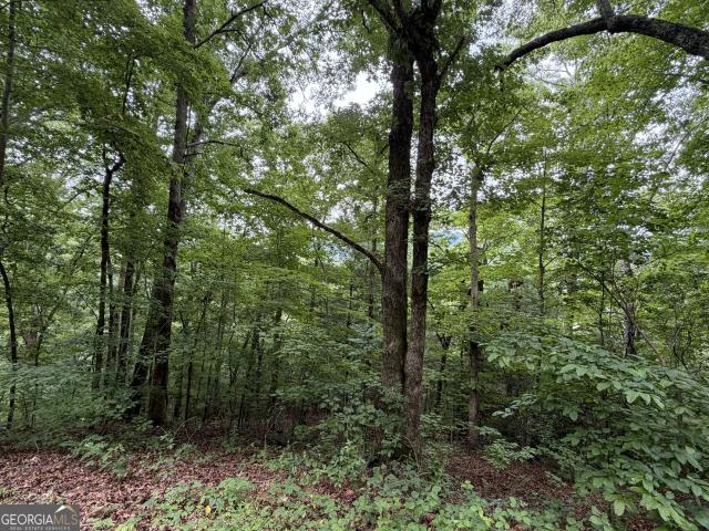Land for sale in Hiawassee, Georgia