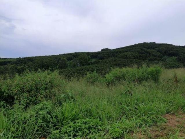 Land for sale in Umgungundlovu, Kwazulu-natal