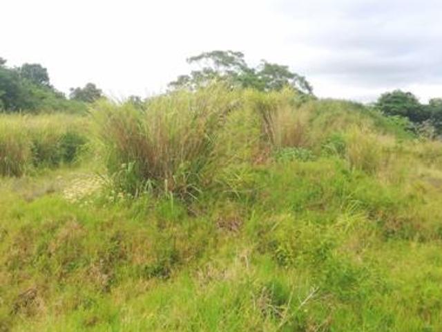 Land for sale in Ugu District Municipality, Kwazulu-natal