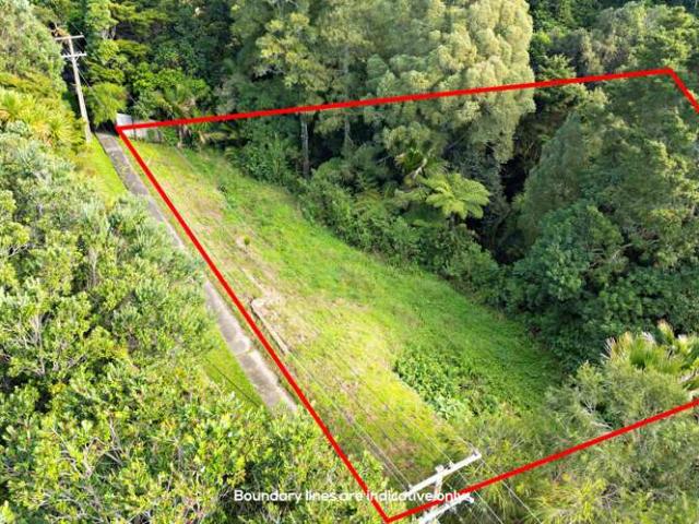 Land for sale in Wairau Valley