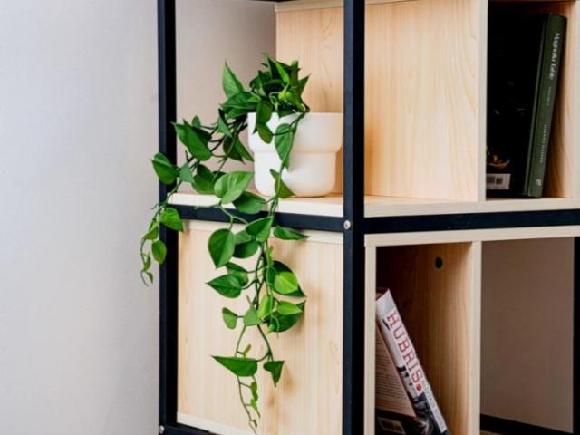 Granny Flat for rent in Camerons Creek, Victoria