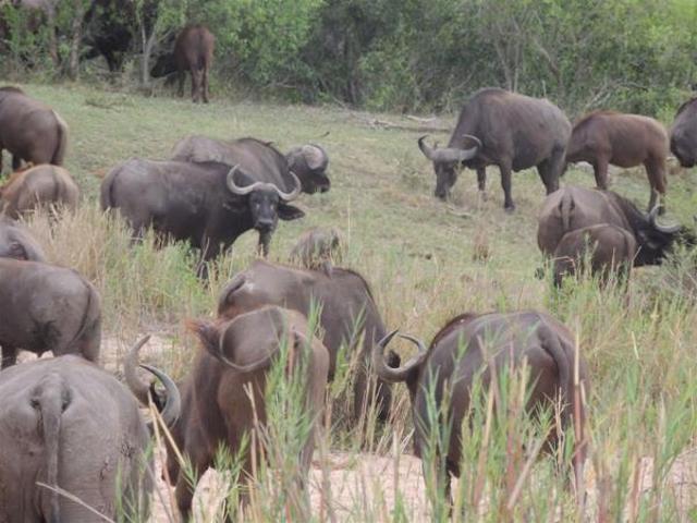 Property for sale in Ehlanzeni, Mpumalanga