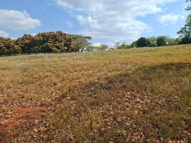 Property for sale in Mopani, Limpopo