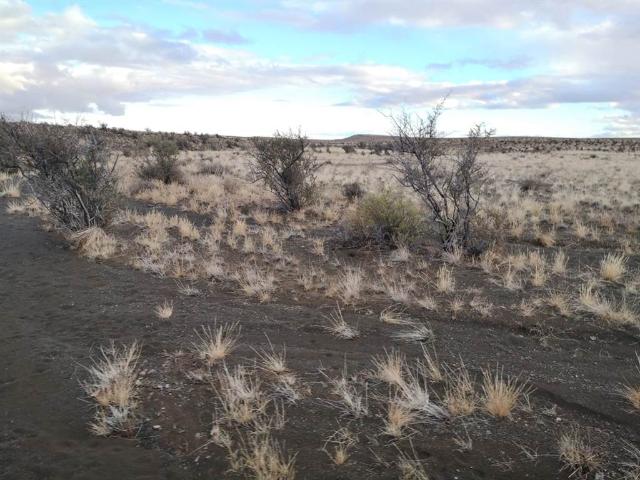 Property for sale in Western Cape