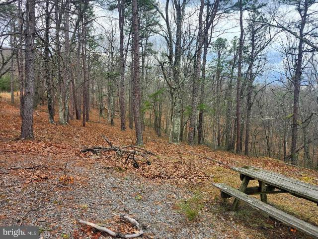 Land for sale in Romney, West Virginia