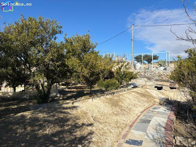Local Comercial en venta en Valle de Ricote, Murcia