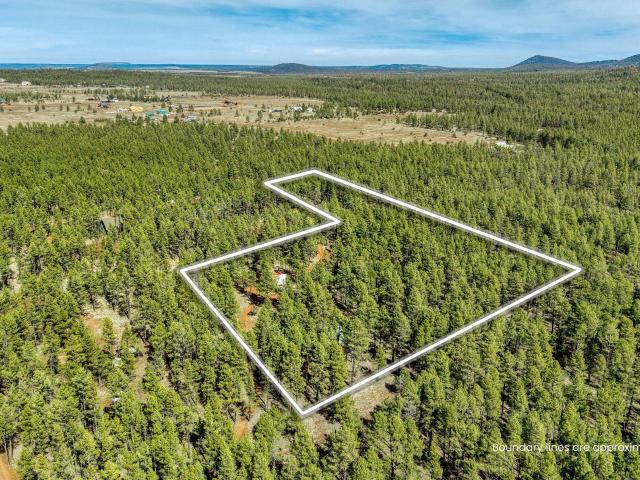 Land for sale in Navajo, Arizona