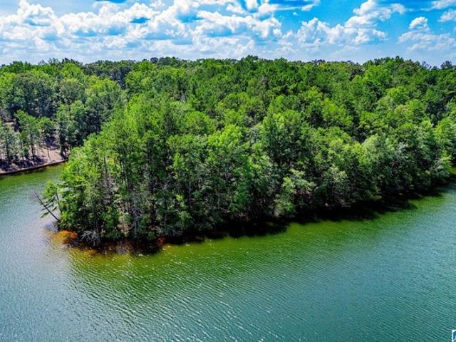 Land for sale in Wedowee, Randolph County