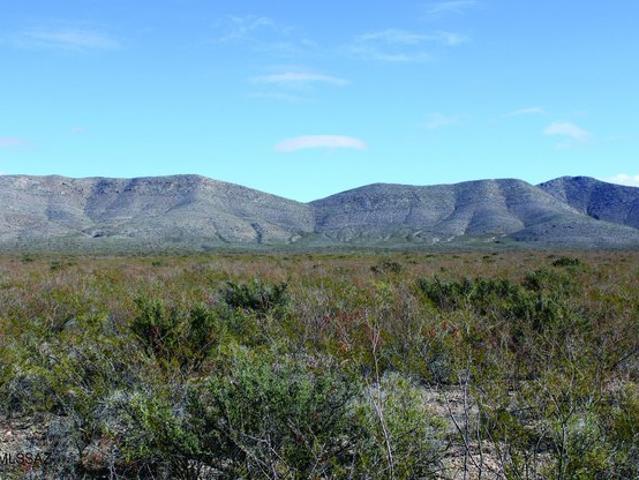 Land for sale in Douglas, Cochise County