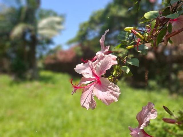 Property for sale in Kwazulu-natal