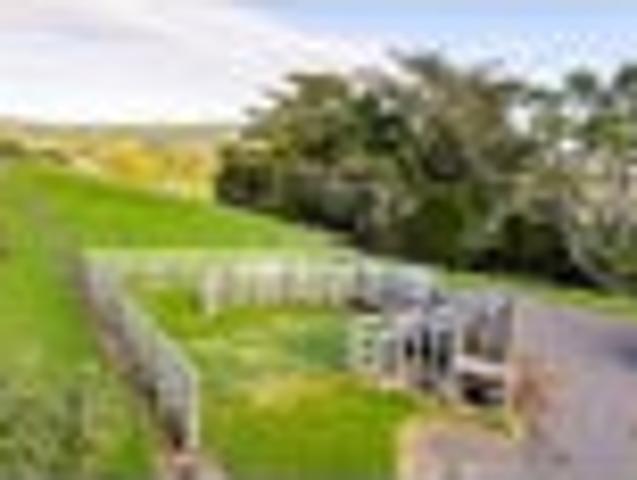 Land for sale in Northland
