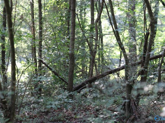 Land for sale in Huntsville, Alabama