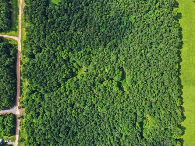 Land for sale in Ark