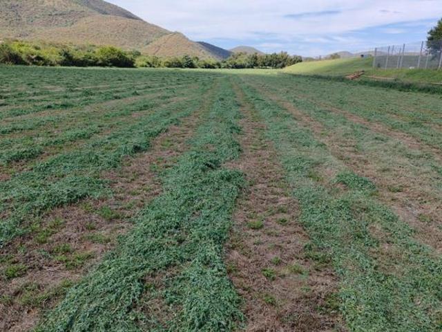 Farm for sale in Hartbeespoort Dam Nature Reserve, North West