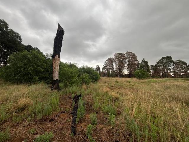 Land for sale in Witbank, Mpumalanga